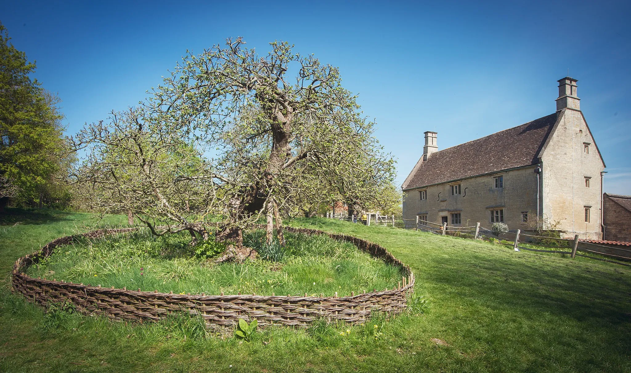 Photo showing: Woolsthorpe Manor, the former home of Isaac Newton and in the foreground the Apple Tree understood to be the famous tree with regard gravity.