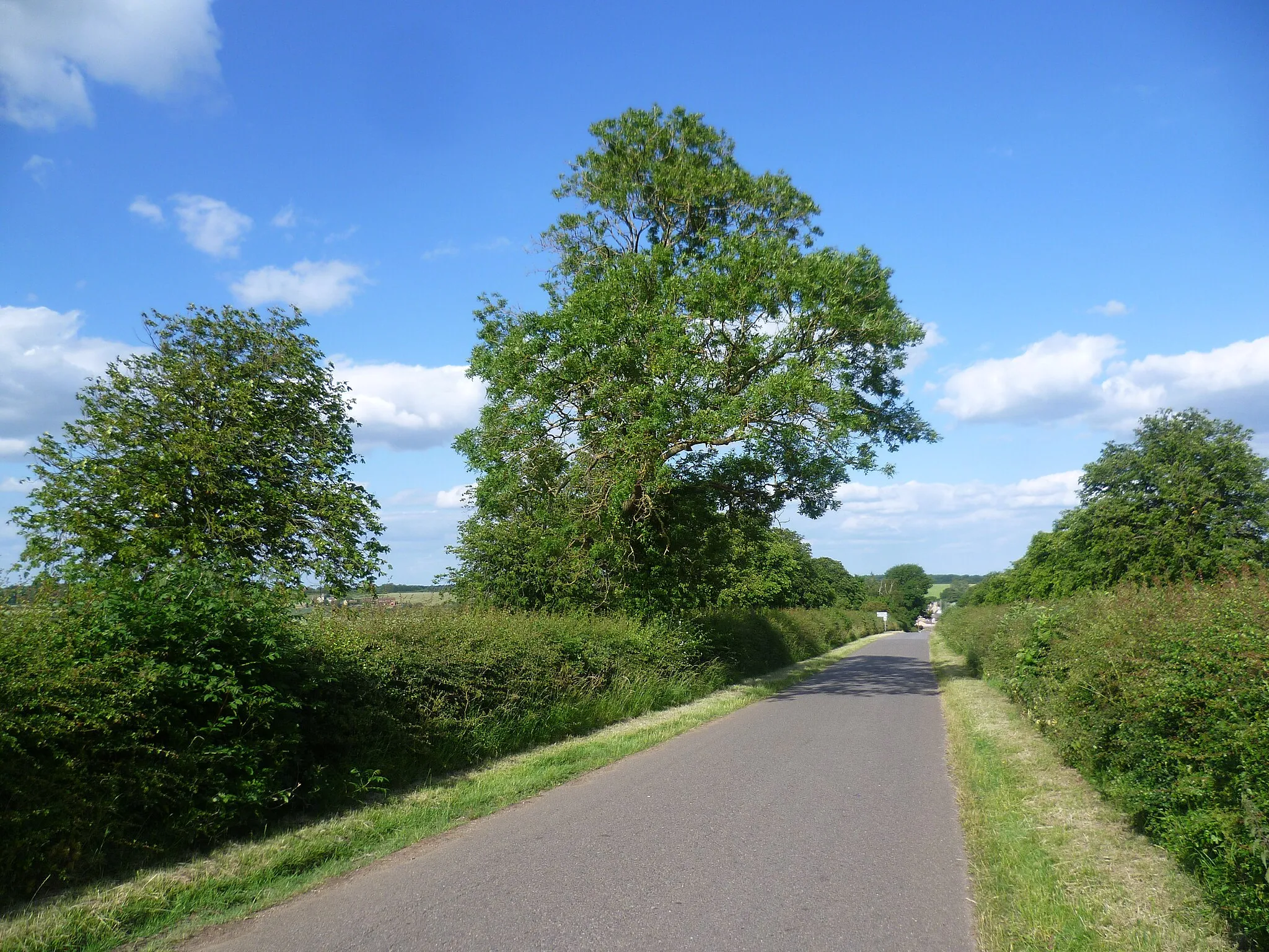 Photo showing: The road to Careby