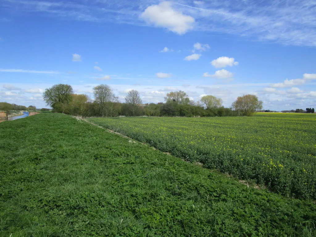 Photo showing: Bridge Farm