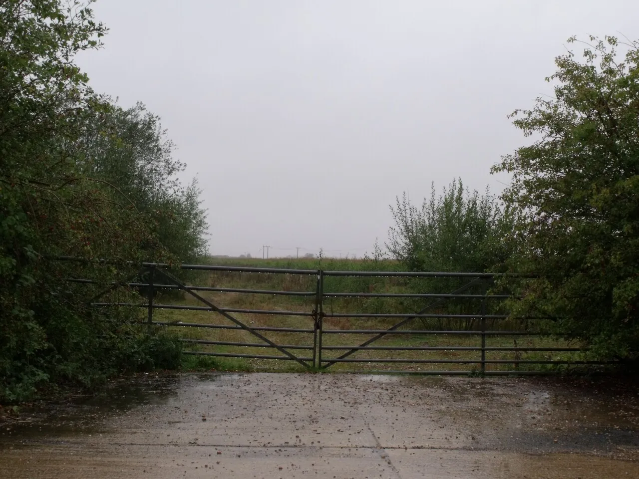 Photo showing: A Wet Gate