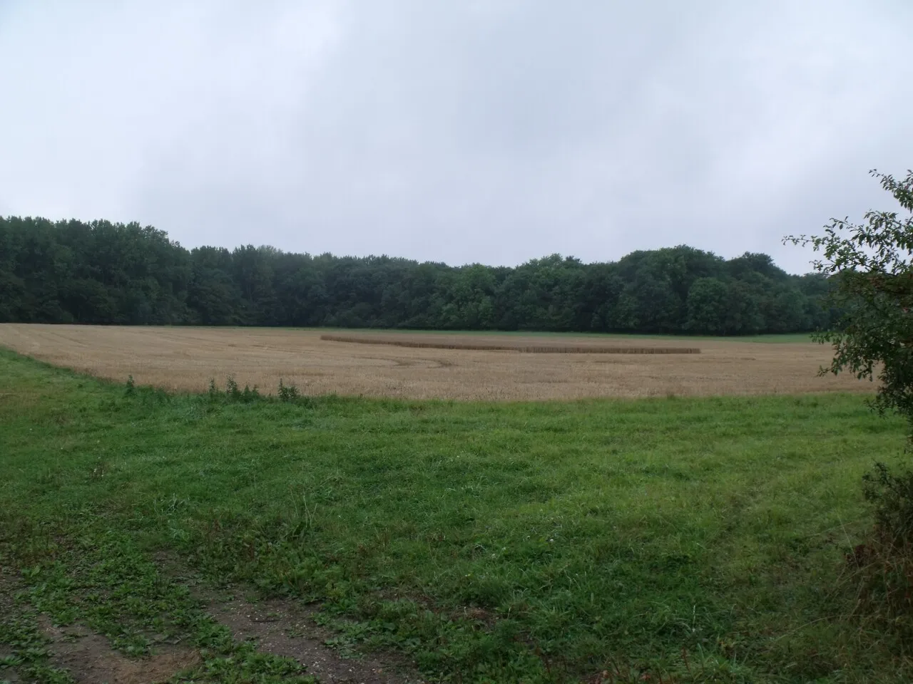 Photo showing: Field with unharvested central area