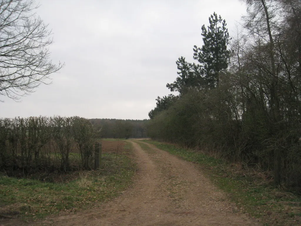 Photo showing: Farm track towards Colley Hill