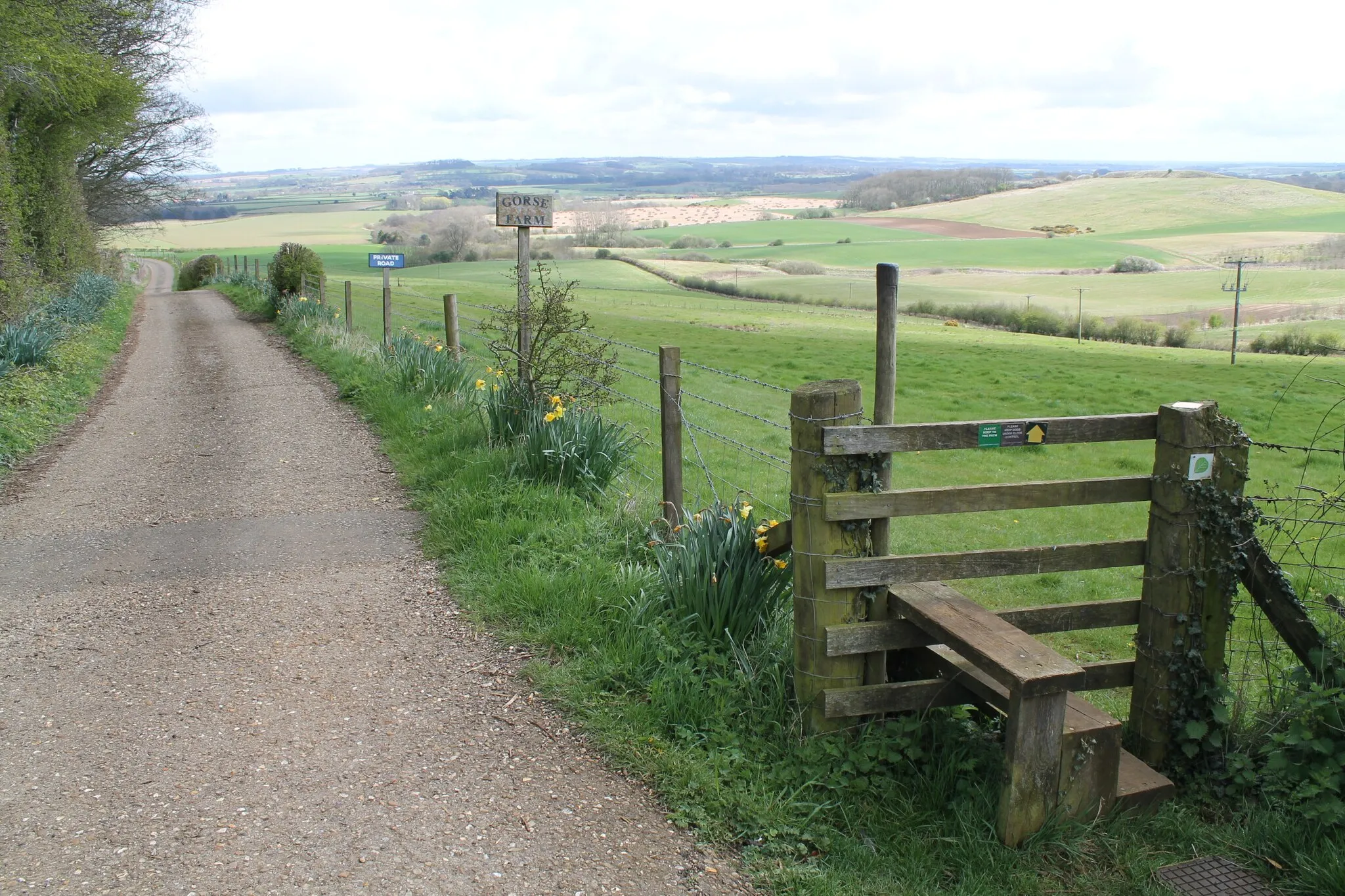 Photo showing: Road to Gorse Farm and Footpath stile