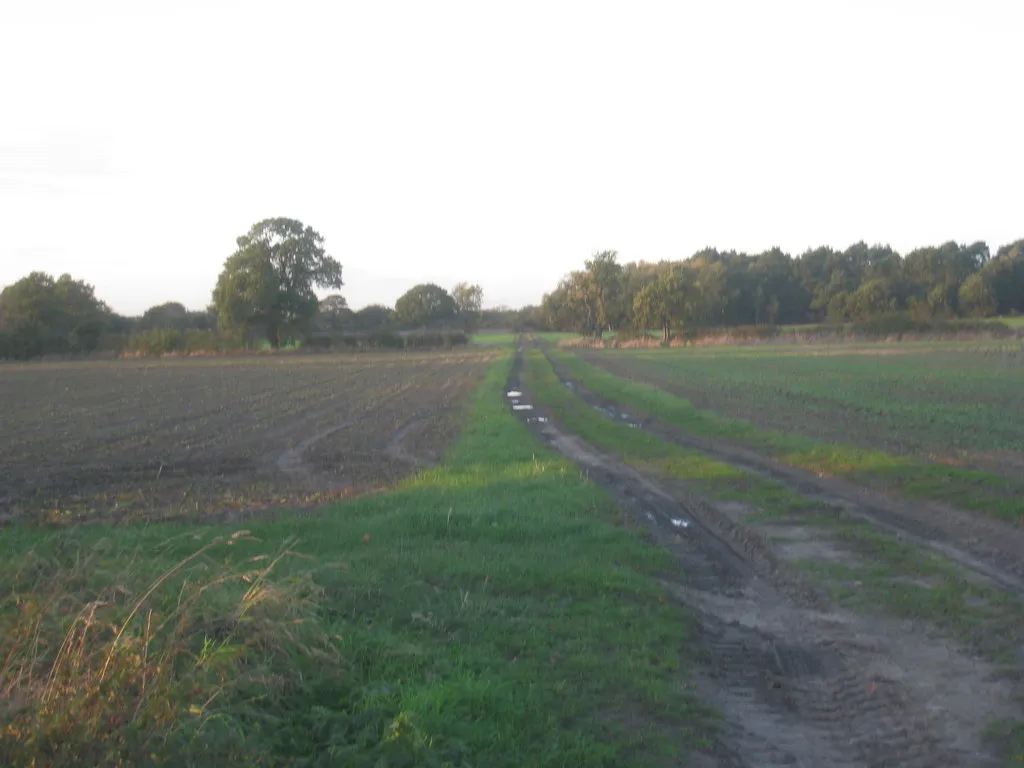 Photo showing: Bridleway to Eagle Barnsdale