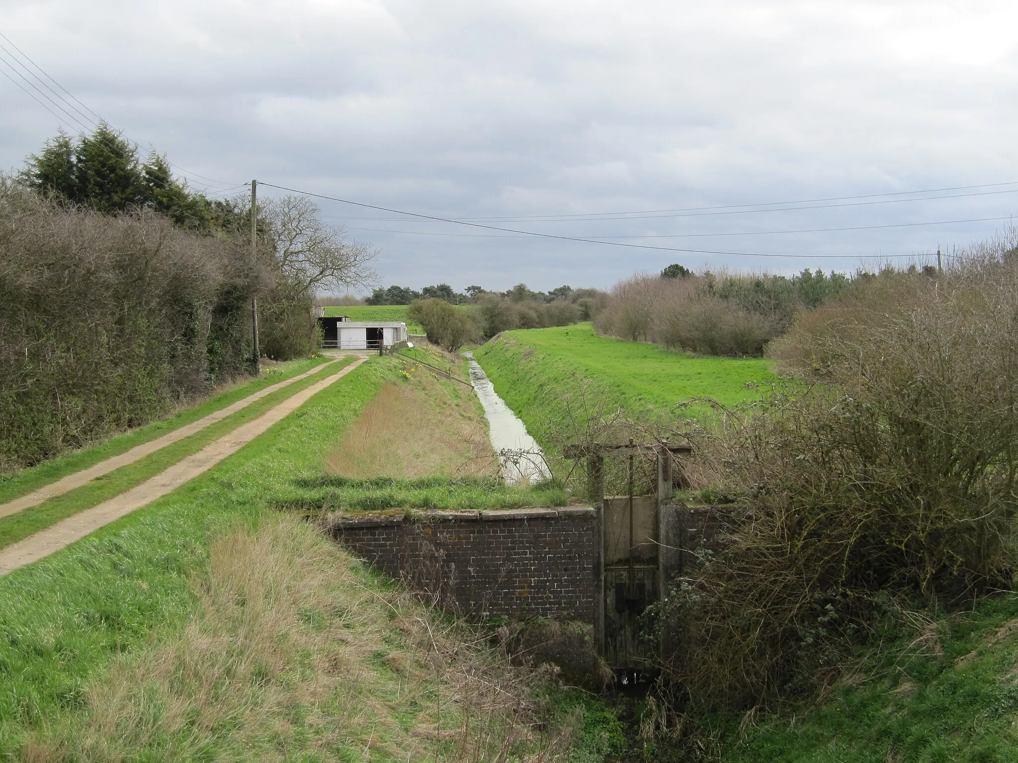 Photo showing: Guthram Gowt inflow drain at foot of south forty foot
On the other side of the road from the engine peninsula, this drain is conducting water from the very southmost part of Bourne North Fen towards the south forty foot. after passing over the sluice in the foreground the water passes under the bridge and into the drain in the foreground of geograph 1788314, which drain runs into the southern end of the South Forty Foot drain
In the distance can be seen the embankment of the raised River Glen, whose waters are around 3m above the water in this drain, and around 3.6m above the waters below the sluice in the south forty foot.

It is probable that the proposed lock that will allow boats to pass from the south forty foot to the Glen will be somewhere in this photograph.