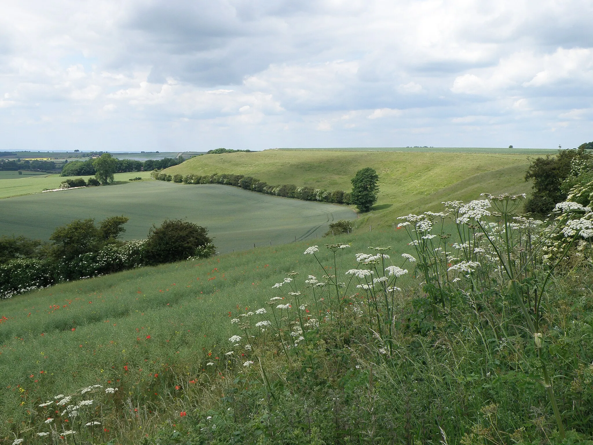 Photo showing: Along the ridge of Bluestone Heath road