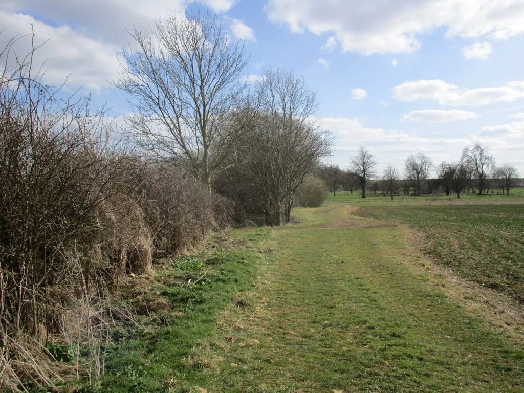 Photo showing: Farm track at Brauncewell