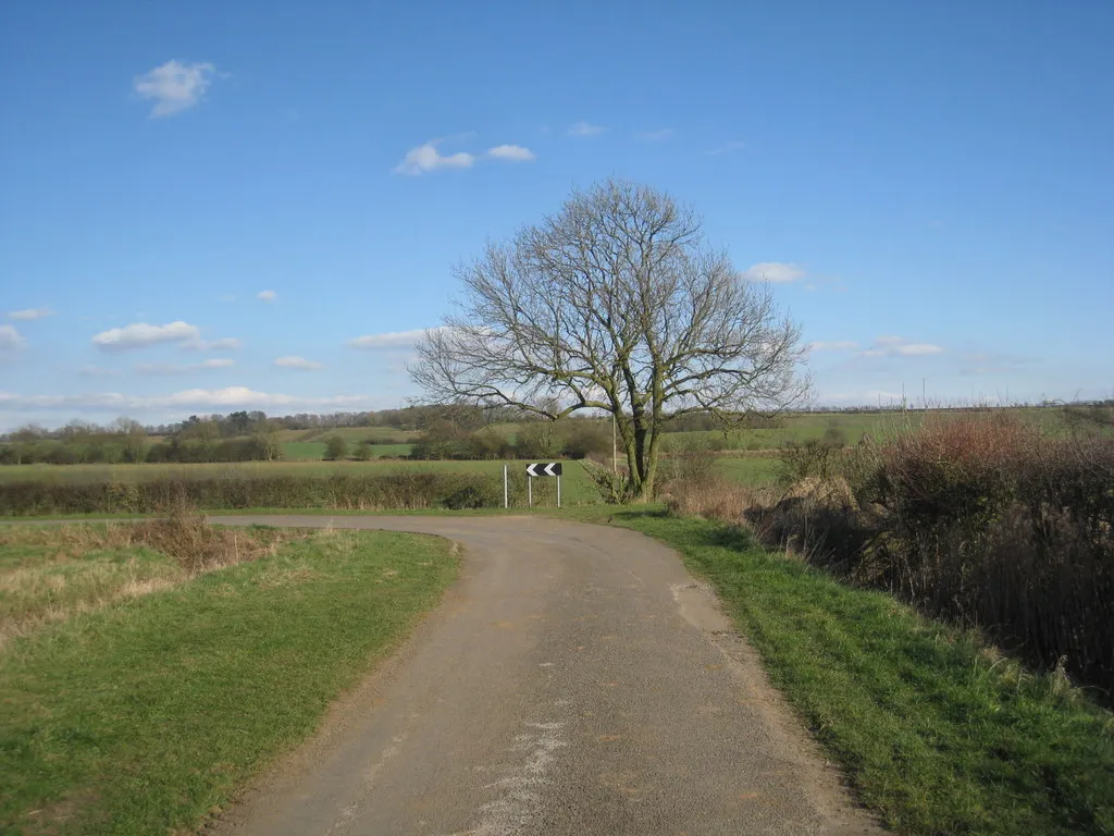 Photo showing: Bend in the lane