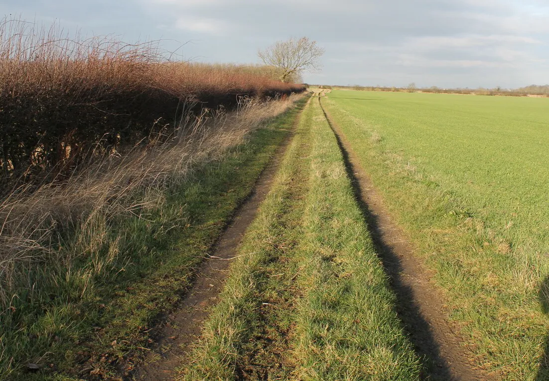 Photo showing: Farm Track off Pepper's Lane