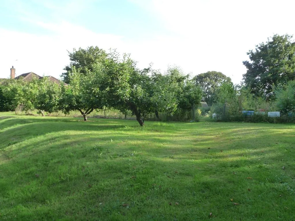 Photo showing: Small orchard, Hagworthingham