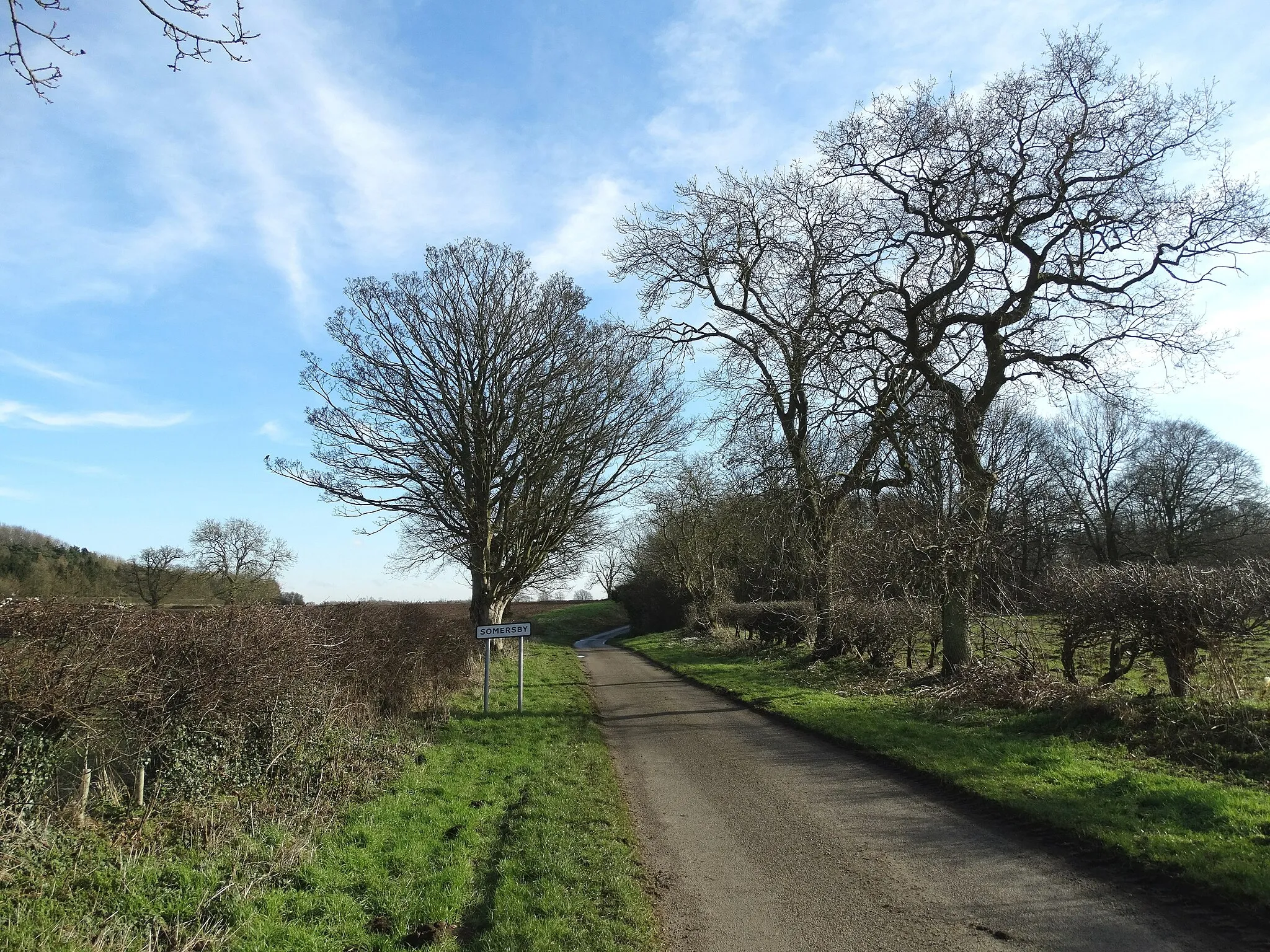 Photo showing: Entering Somersby on Tetford Road