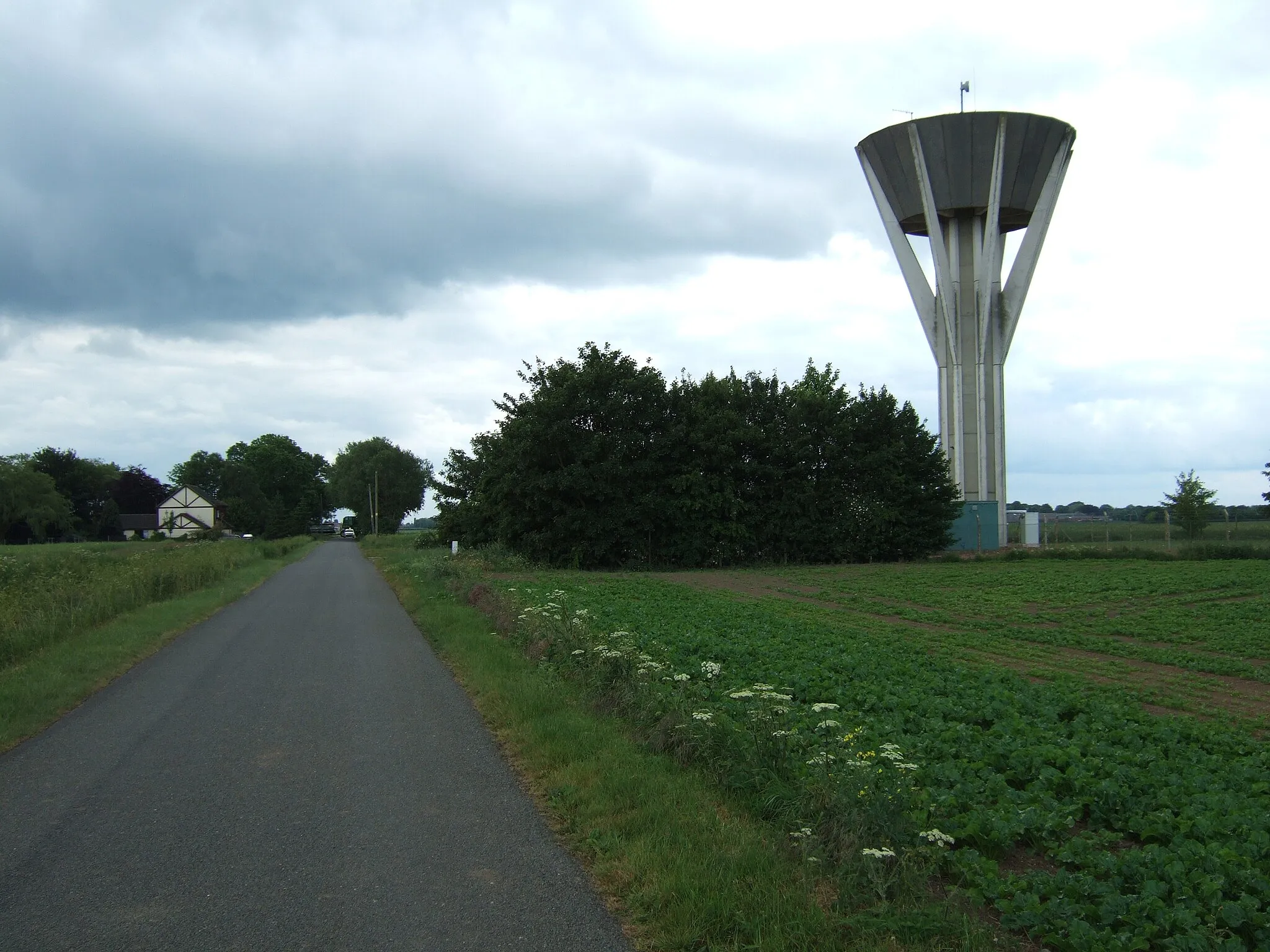 Photo showing: A remote fenland water tower