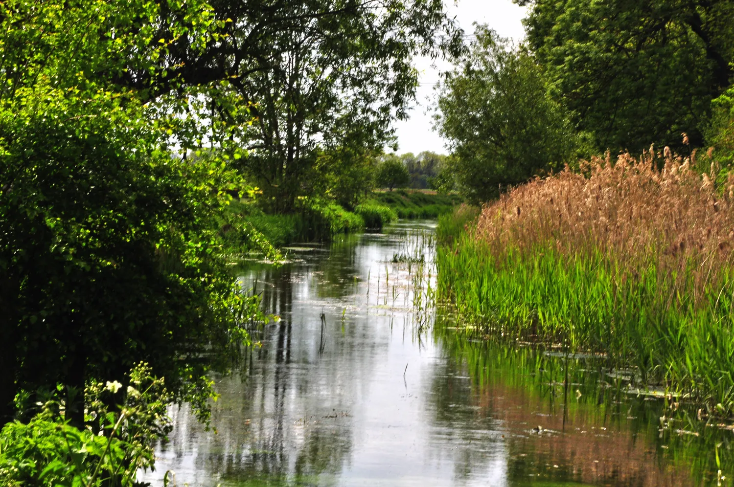 Photo showing: River Slea at Haverholme Lock