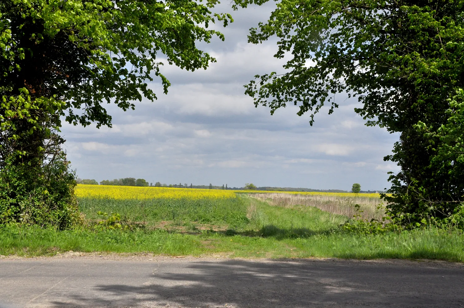 Photo showing: Gap in a wooded hedge - Haverholme