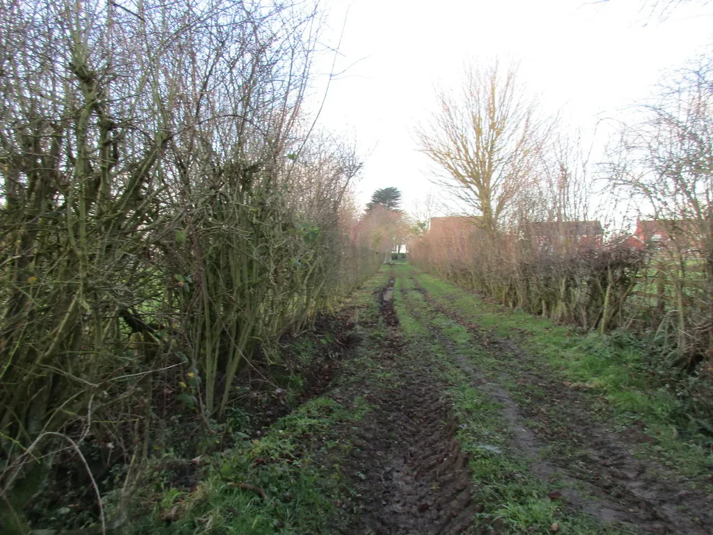 Photo showing: Access track at North Thoresby