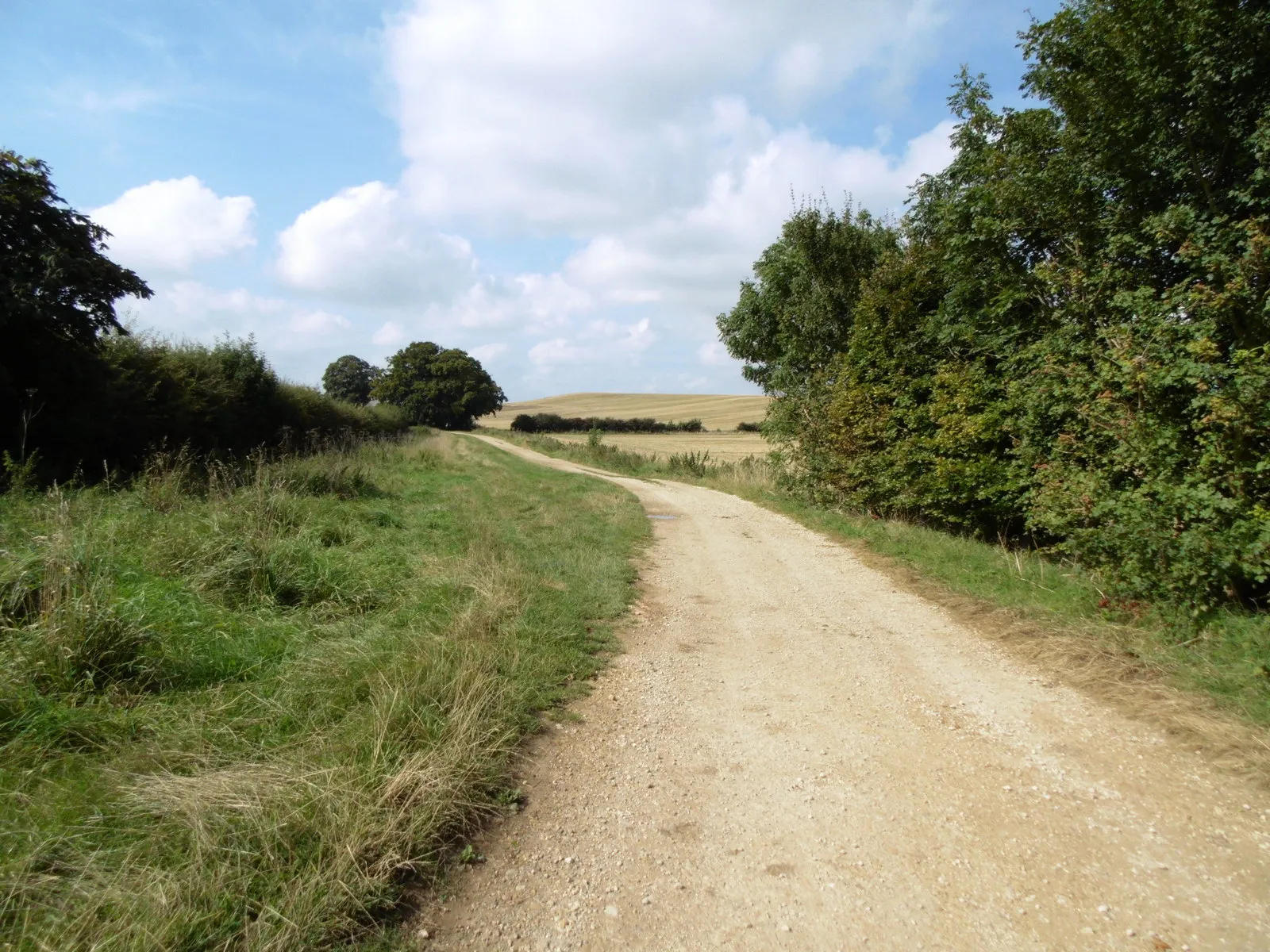 Photo showing: Bridleway at Brinkhill