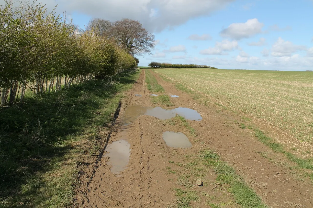 Photo showing: A muddy Public Bridleway to Sutterby Holt