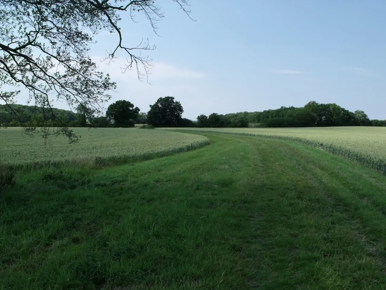 Photo showing: Bridleway near Muckton Wood