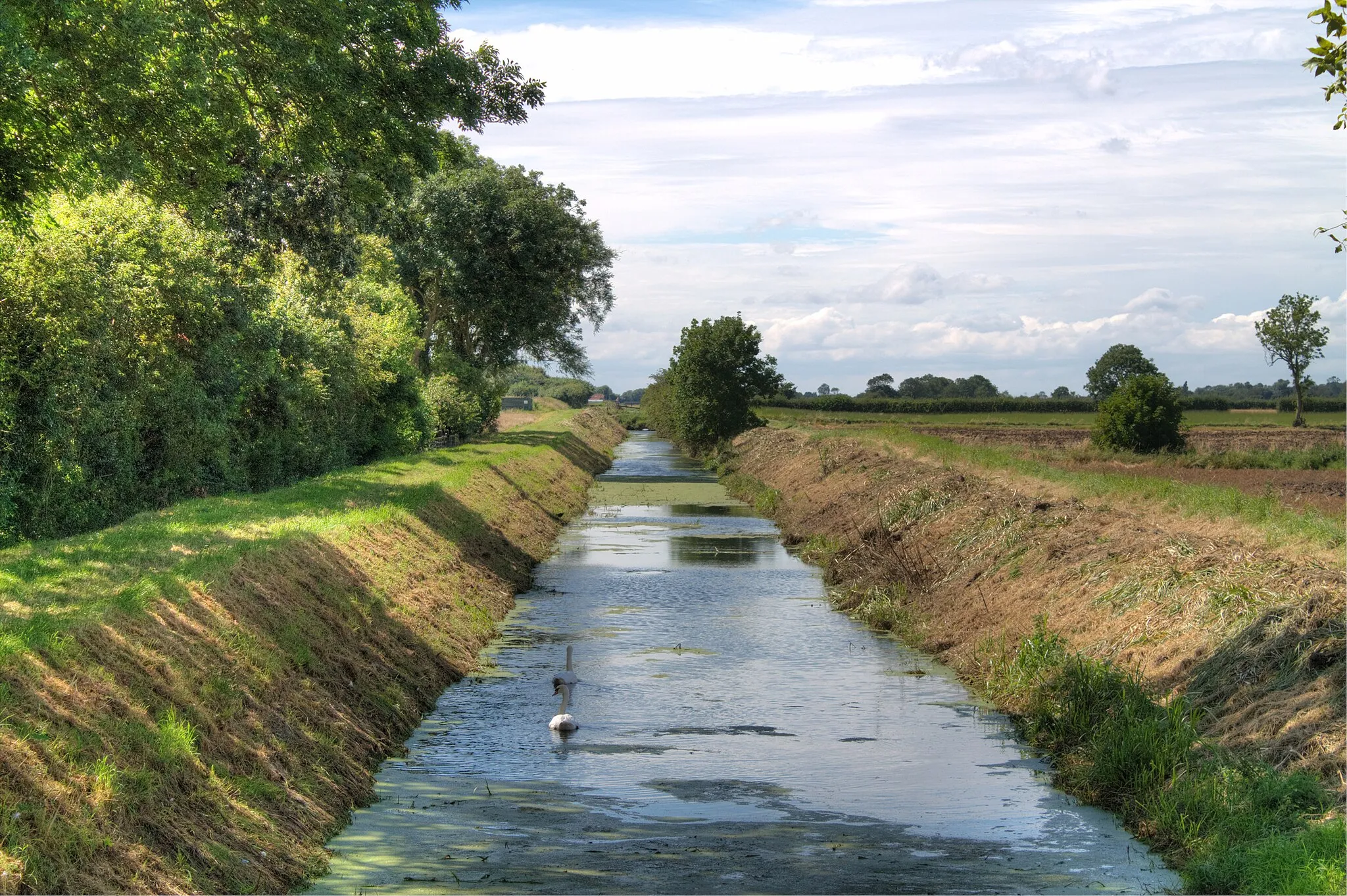 Photo showing: East Fen Catchwater Drain