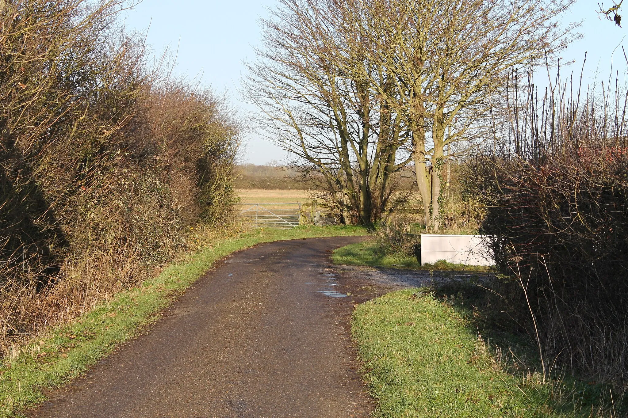 Photo showing: Bend in Brambleberry Lane