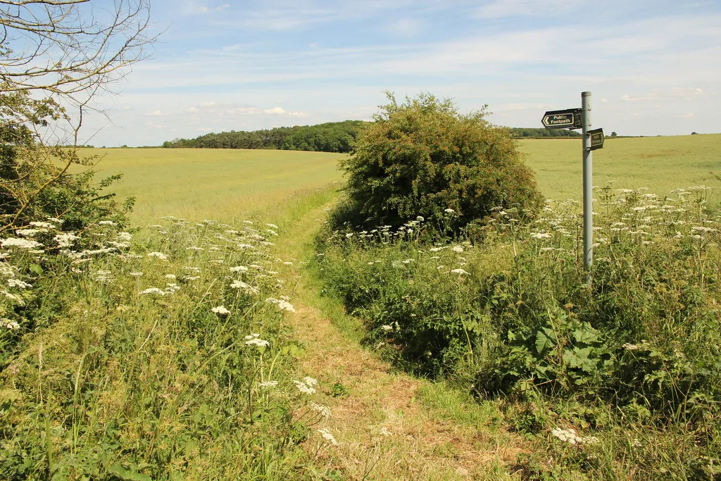 Photo showing: Bridleway to Long Nursery