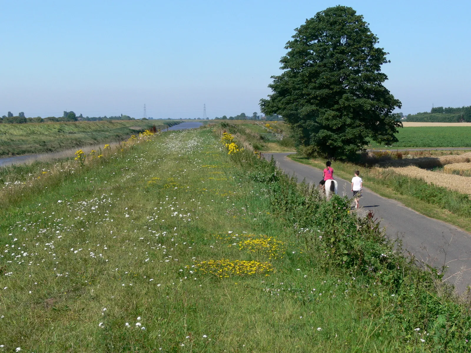 Photo showing: Atop the raised riverbank of the Welland