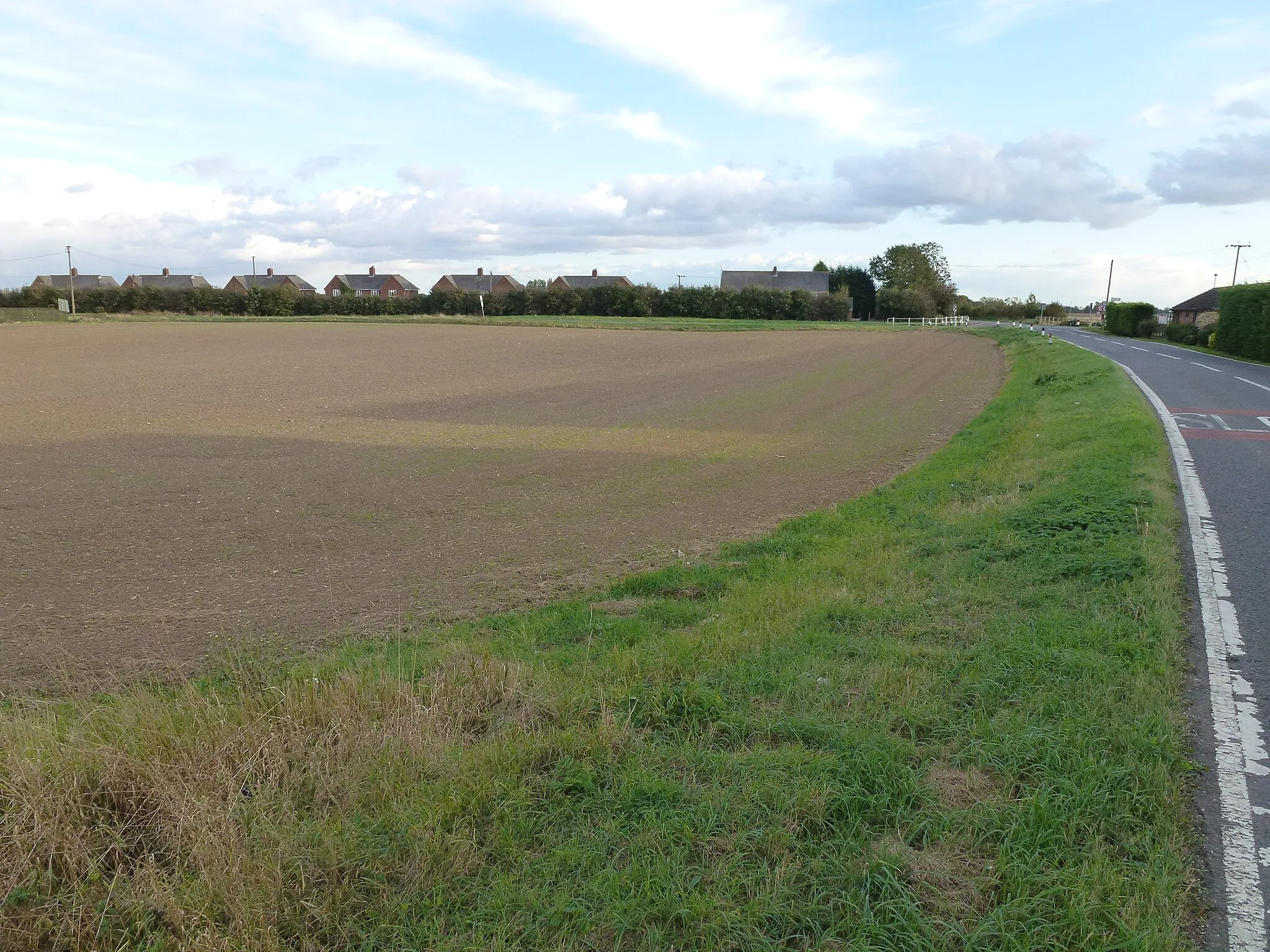 Photo showing: 2.77 acres of winter wheat at Bellamy's Bridge, Wisbech St Mary