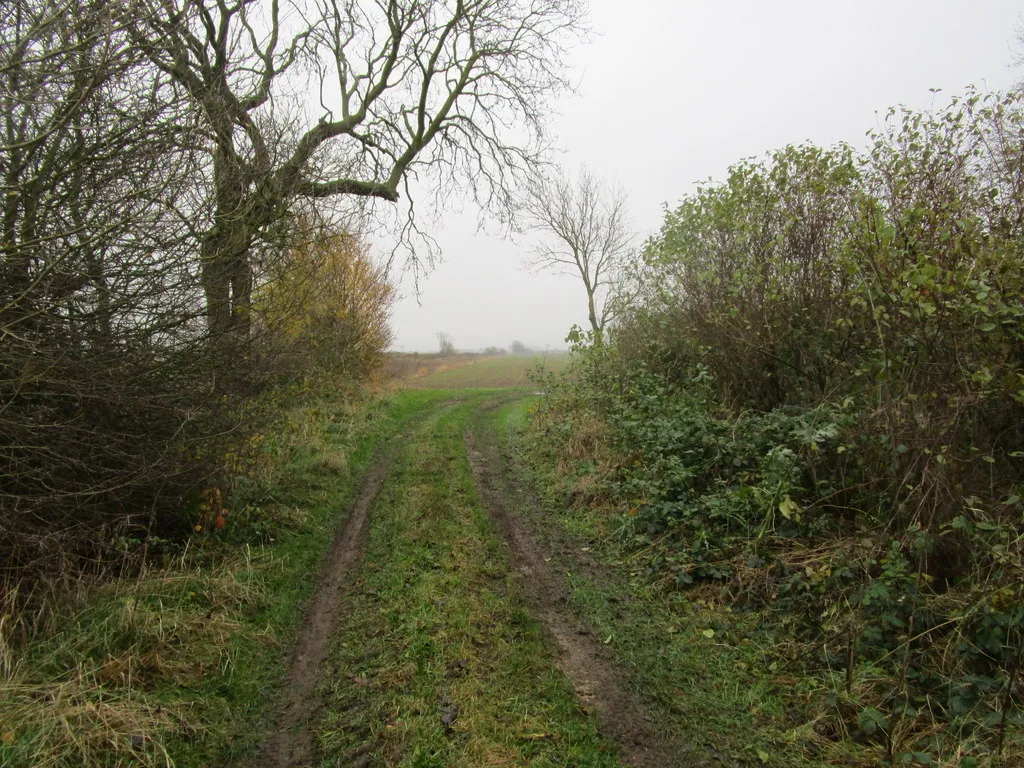 Photo showing: Approaching a right angled bend in Ley Lane