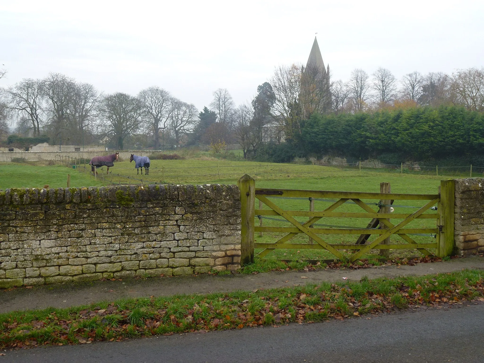 Photo showing: Ancient meadow in Barnack, Cambridgeshire