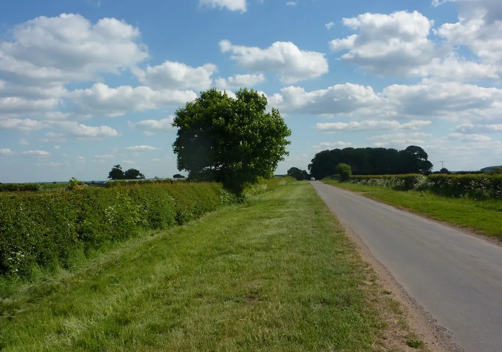 Photo showing: A little lane with wide verges