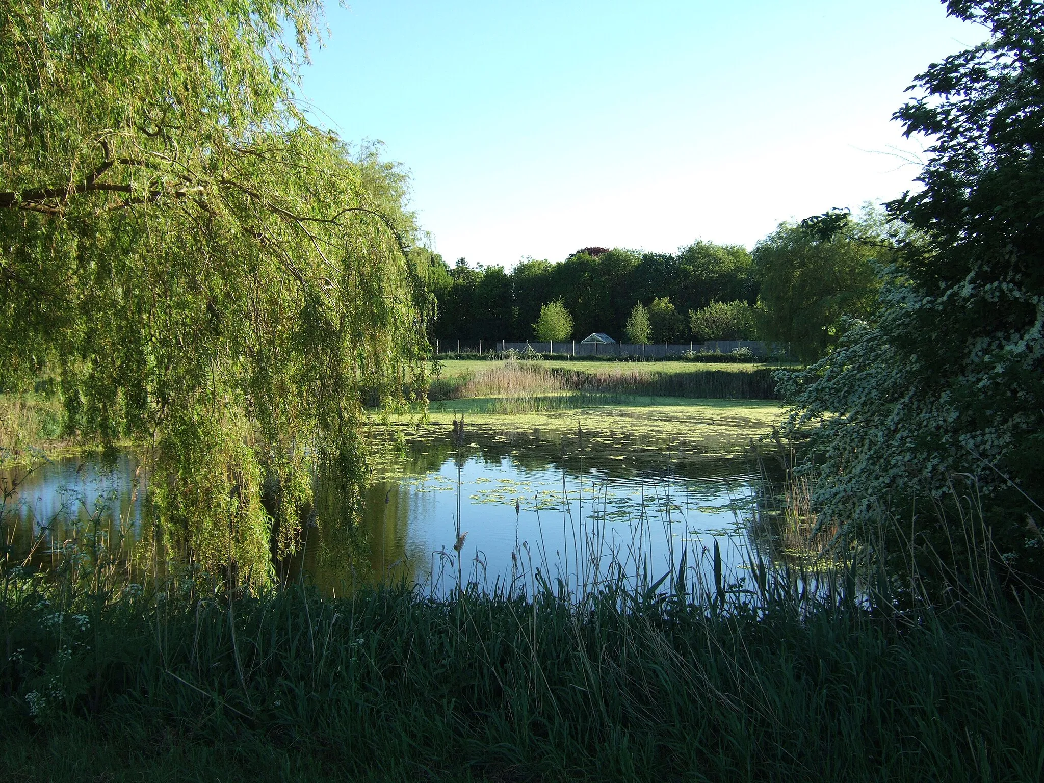 Photo showing: A pond on Middle Broad Drove