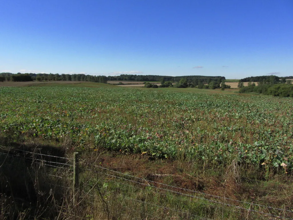 Photo showing: Agricultural landscape W of Brick Yard Farm, Donington on Bain