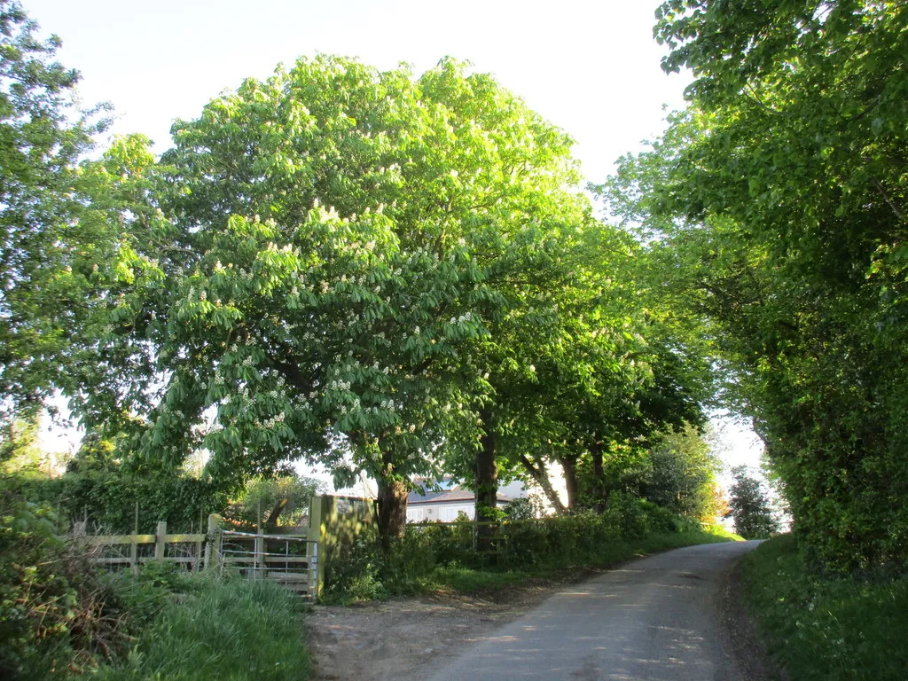 Photo showing: Entering Flawborough from the north