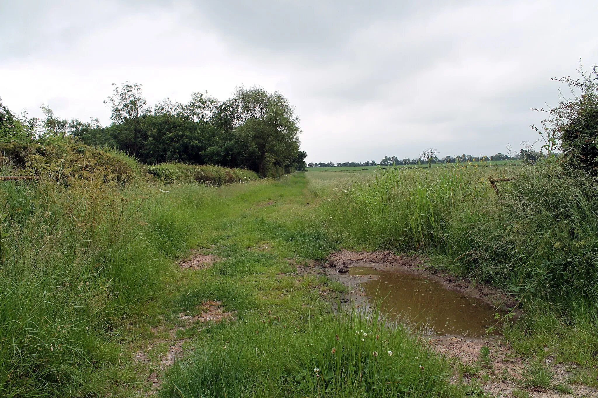 Photo showing: Bridleway near Magpie Hall Farm