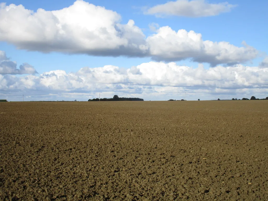 Photo showing: A brown landscape