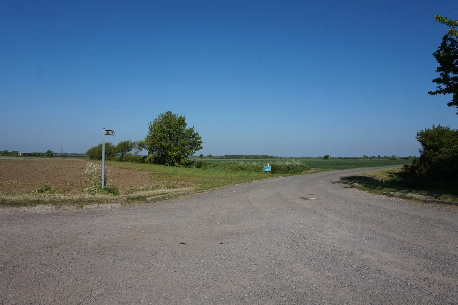 Photo showing: Bridleway off Carlton Lane