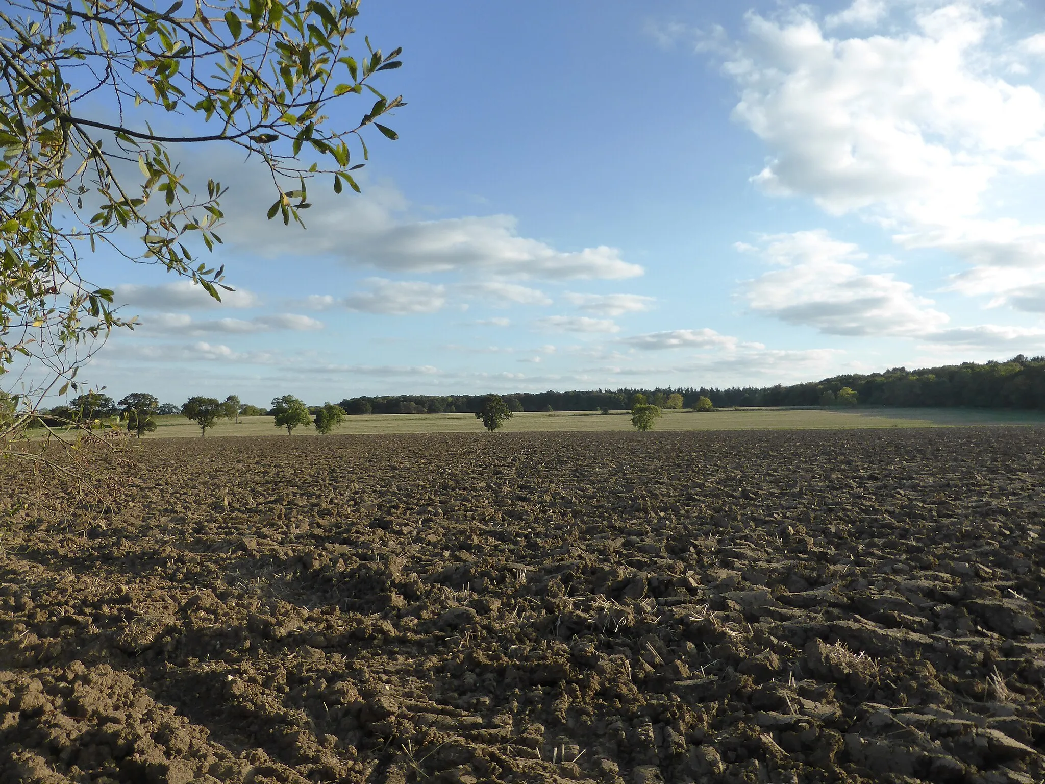 Photo showing: Across the fields