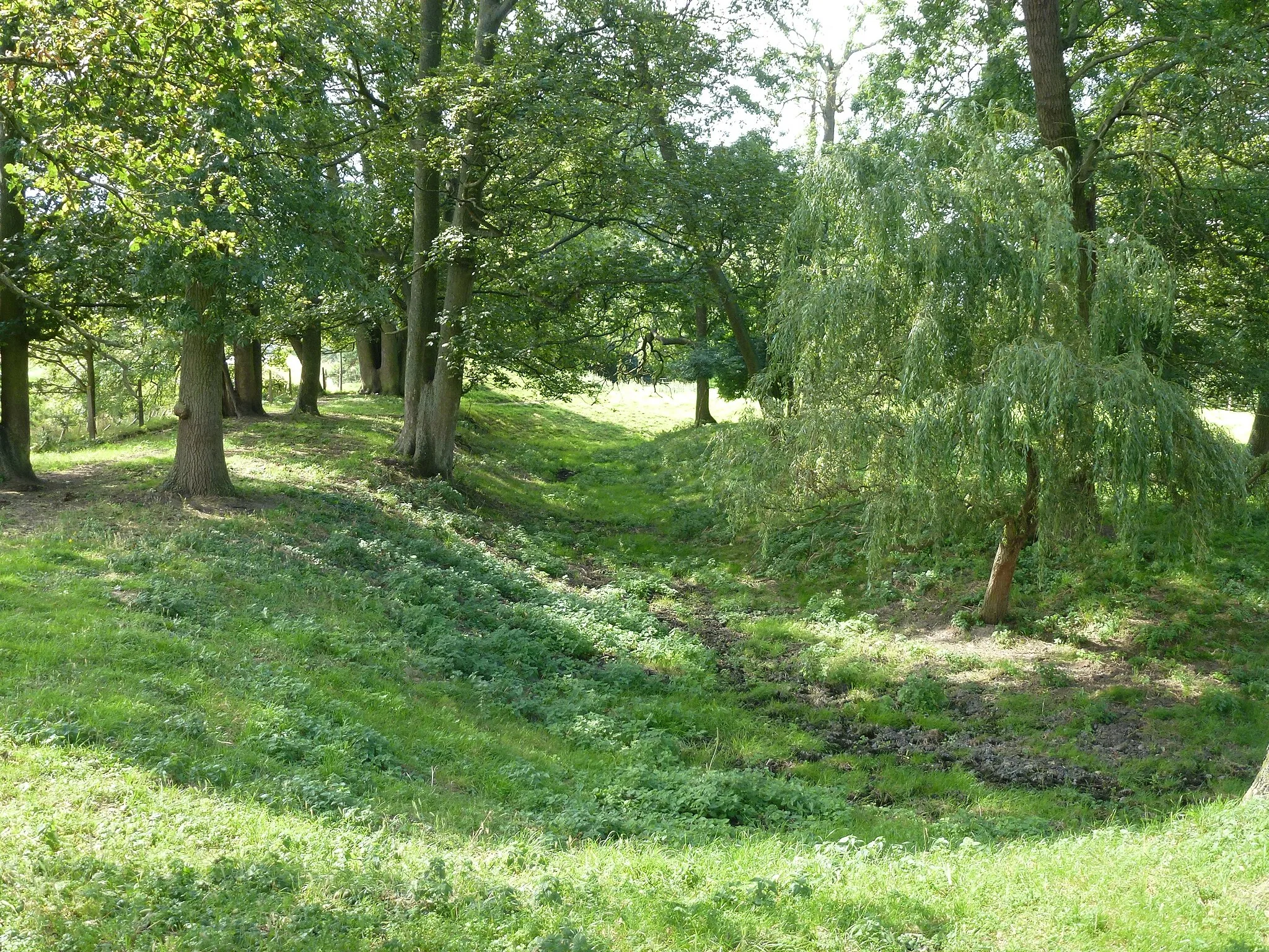 Photo showing: Ancient moat at Cressy Hall