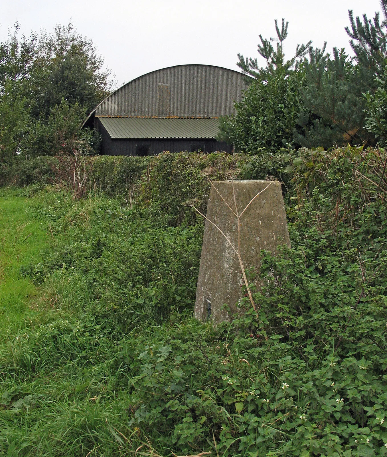 Photo showing: Trig point, hedge and barn