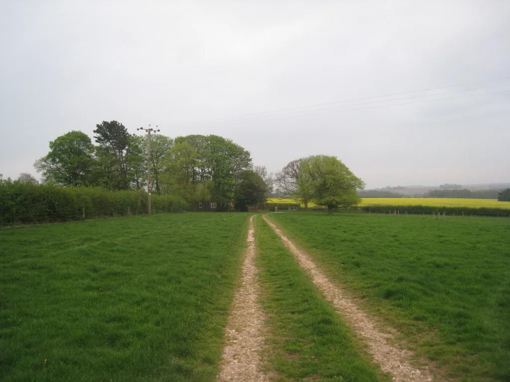 Photo showing: Approaching the road into Thorganby