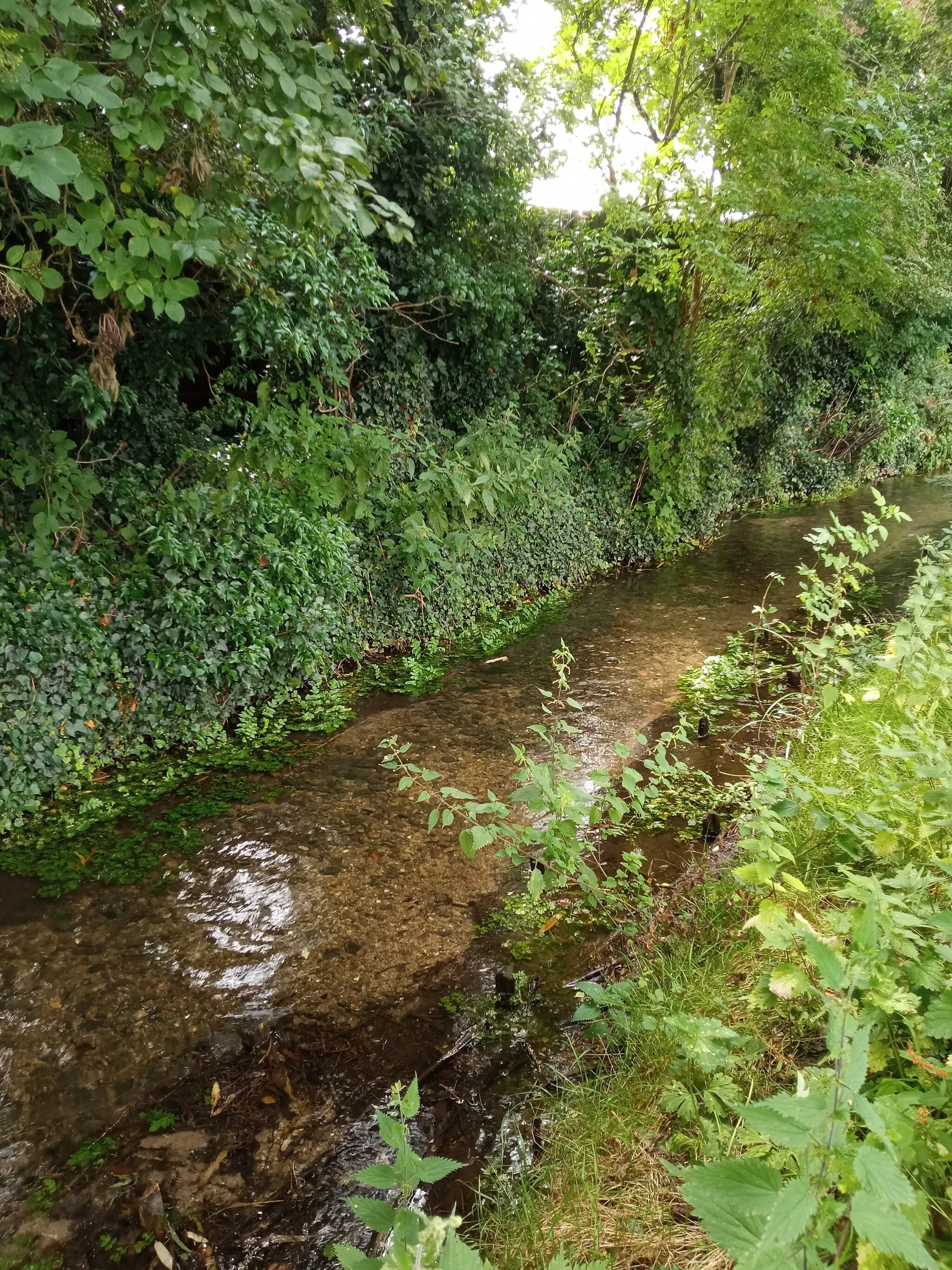 Photo showing: Beck in Welton, Lincolnshire.