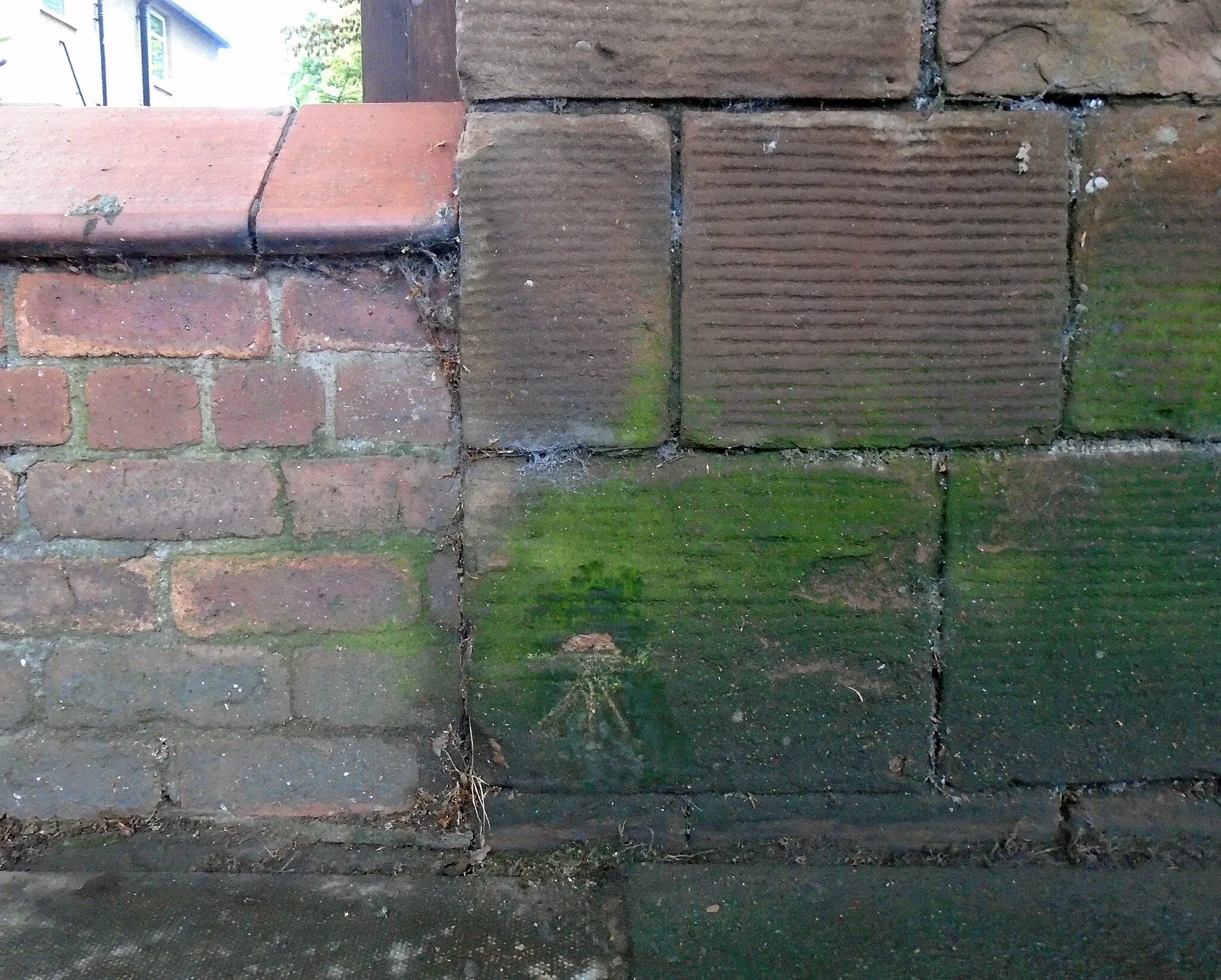 Photo showing: Cut mark in the wall of St Margaret's Academy next to 318 Aigburth Road.