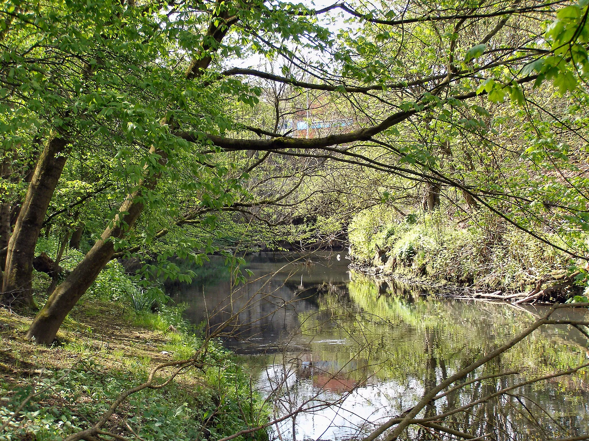 Photo showing: River Roch, near Hooley Bridge,
Data from Geograph:
Description: SD8511 :: River Roch, near Hooley Bridge, near to Heywood, Rochdale, Great Britain
ICBM: 53.600707355575, -2.2213073344612
Location: (about 1 km from) near to Heywood, Rochdale, Great Britain.