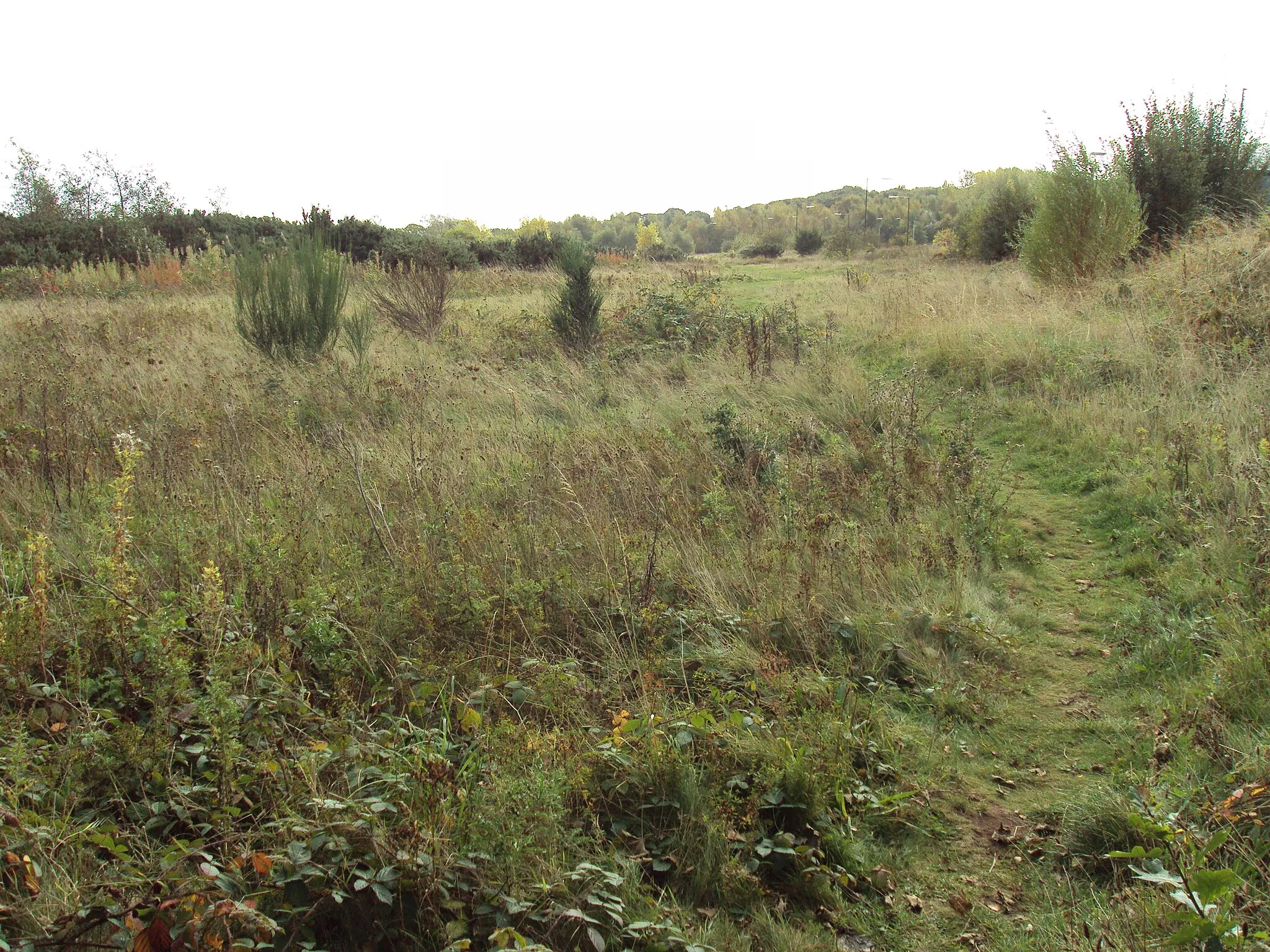 Photo showing: Brownfield site of potential industrial development near Riverview Road, Bromborough, Wirral, Merseyside, England.