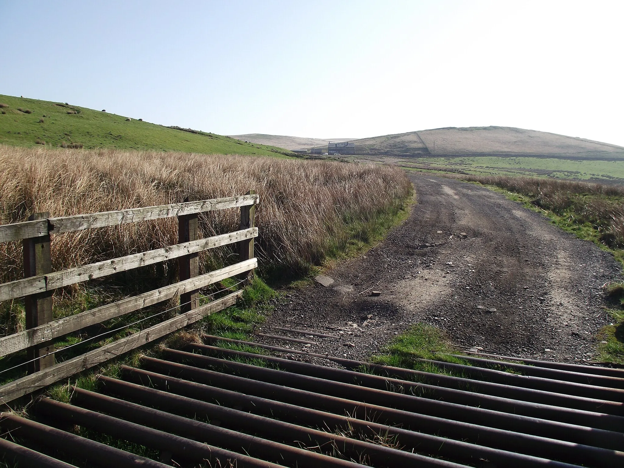 Photo showing: Track to Lower Pasture Barn Farm
