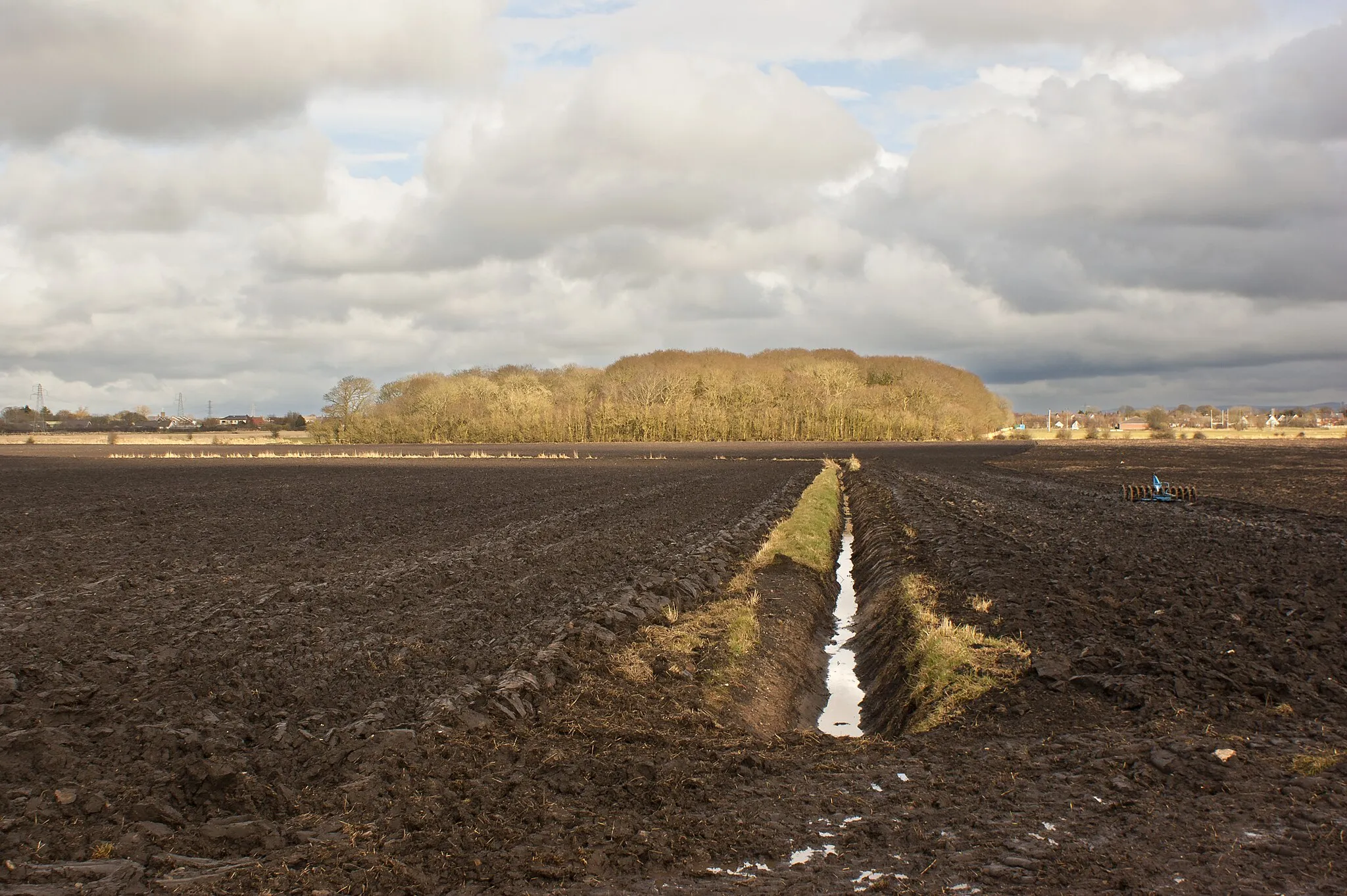 Photo showing: A drainage ditch heading towards Carr Heys Plantation