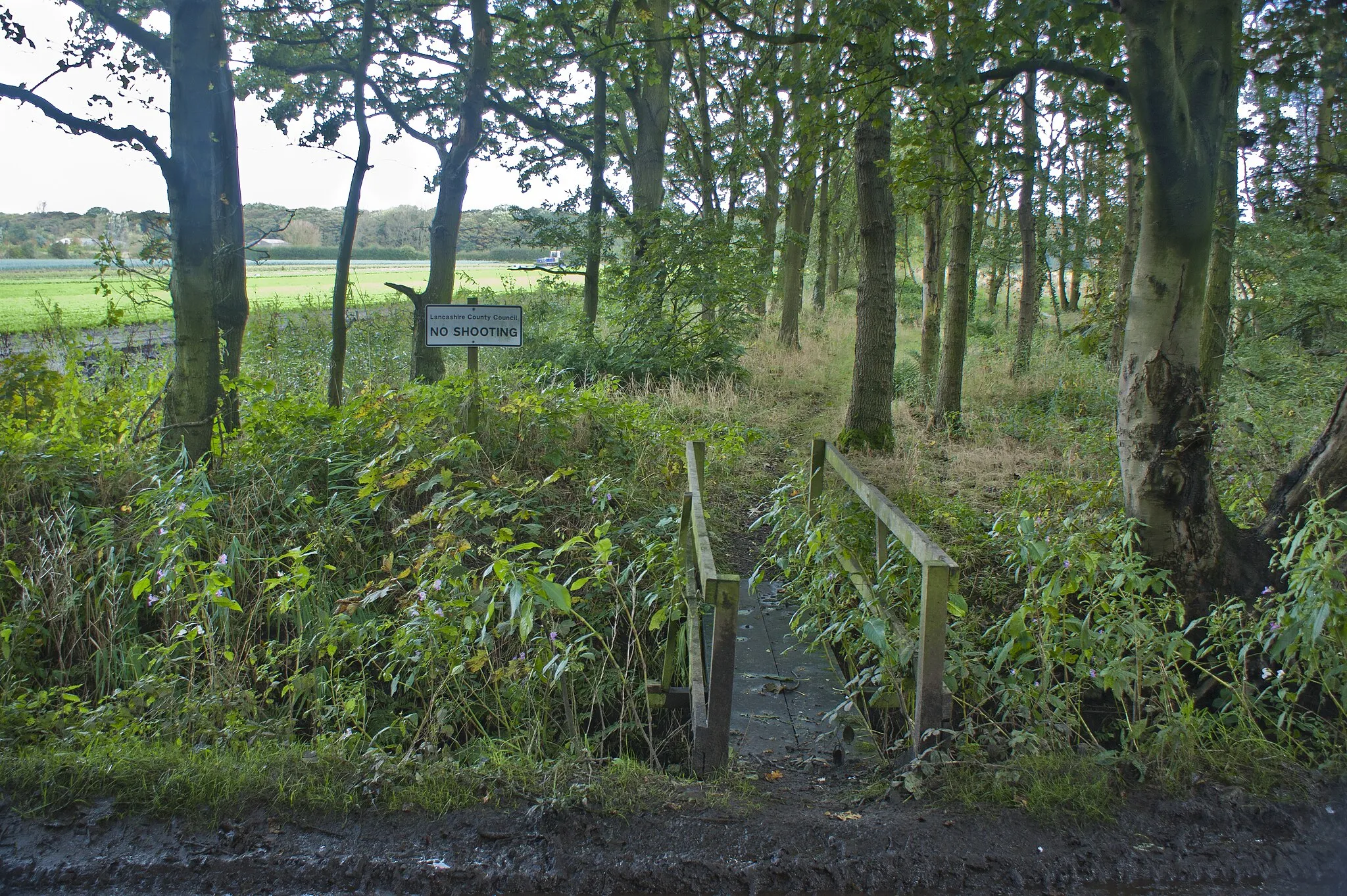 Photo showing: A footbridge off Cabin Lane