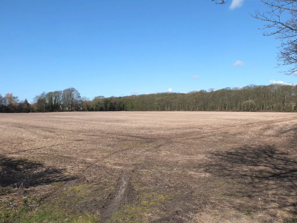 Photo showing: Field West of High Brows Covert near Southport Crematorium