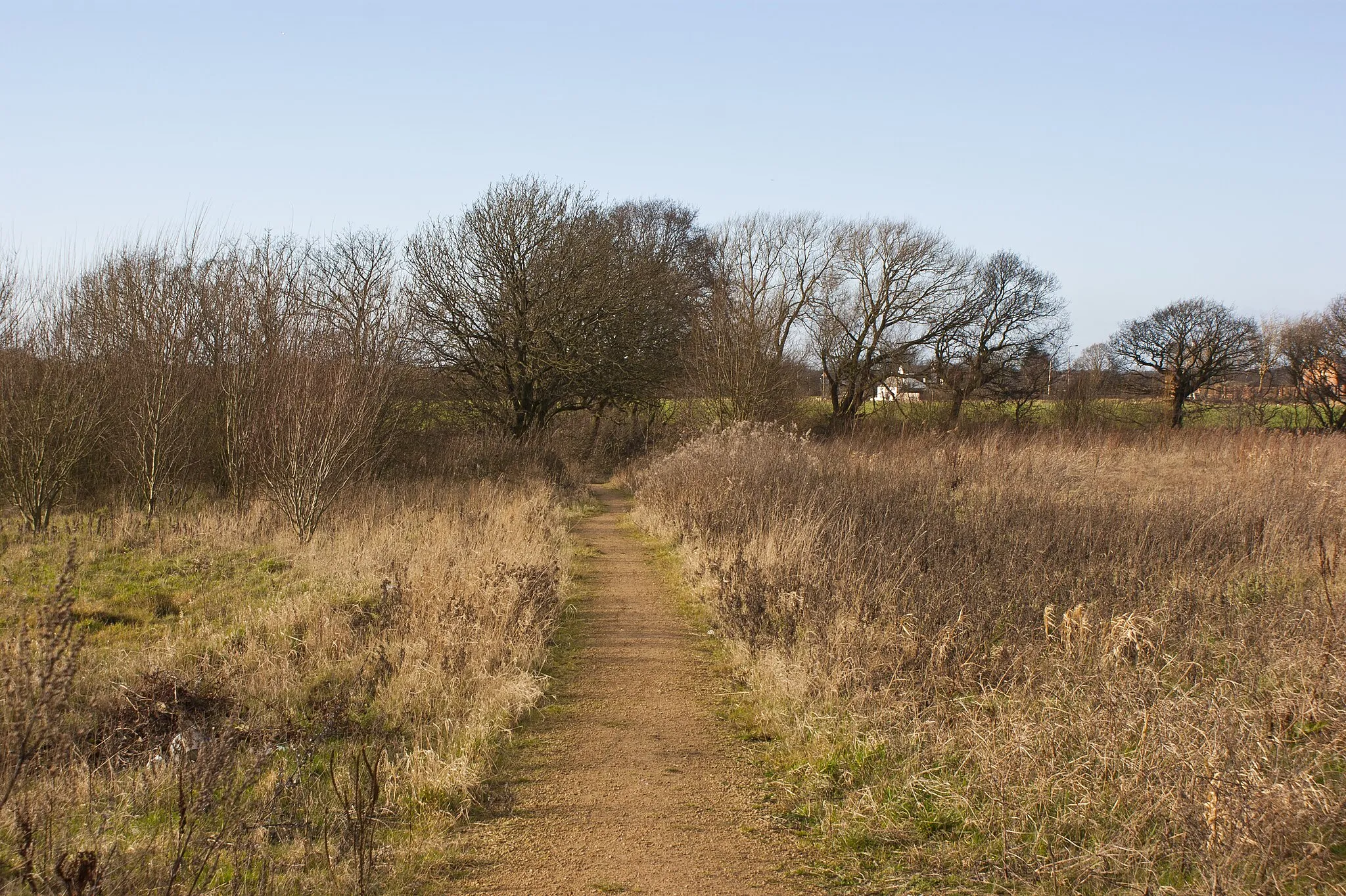 Photo showing: A footpath to Cronton Lane