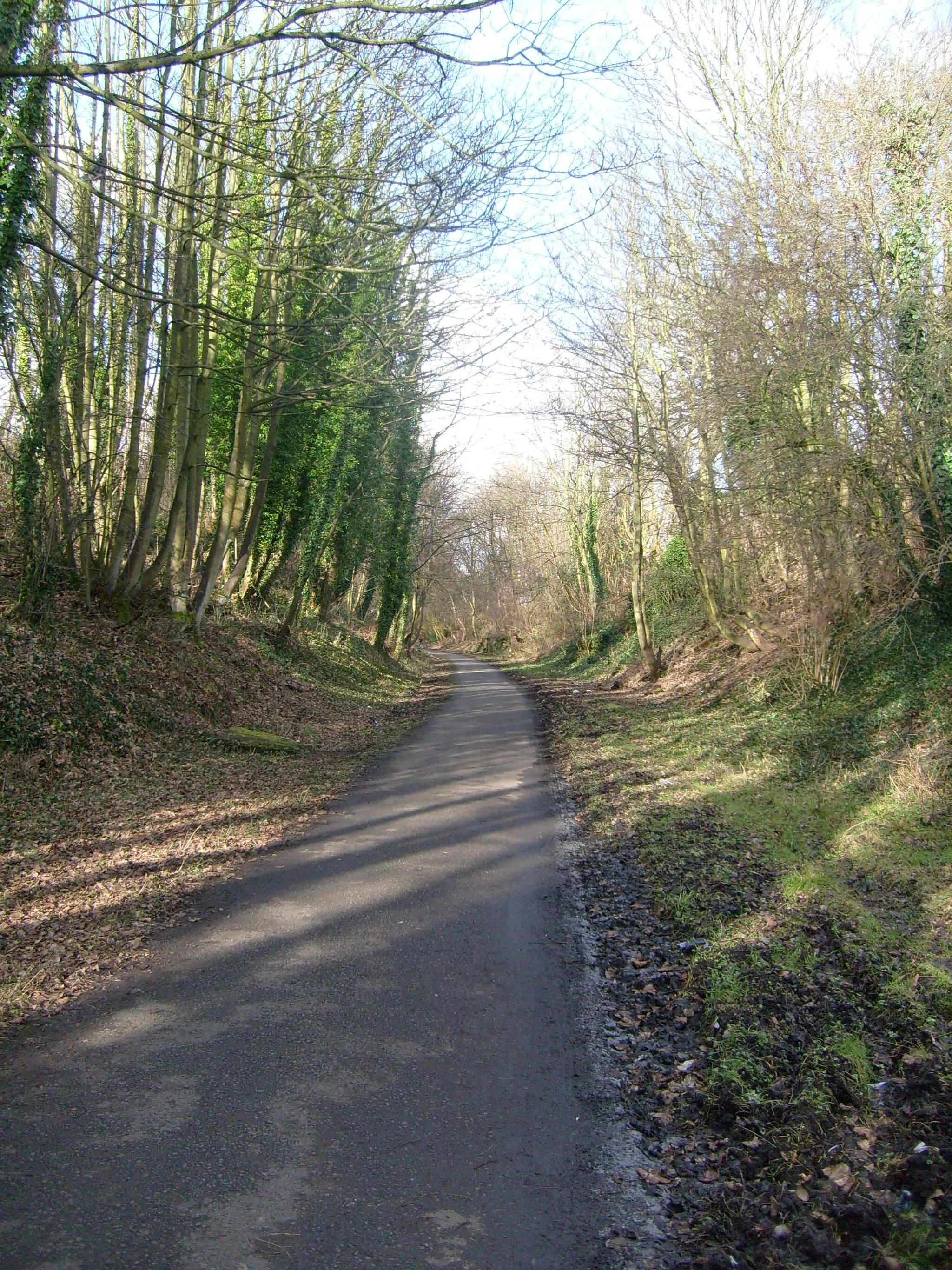 Photo showing: Part of the North Liverpool Extension Line